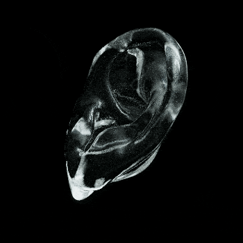 ear_voucher.gif